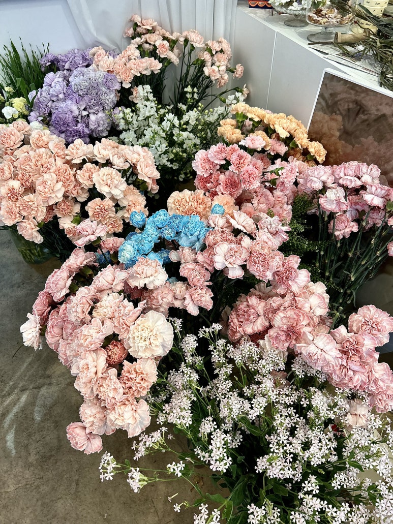 플레르앤드 이미지