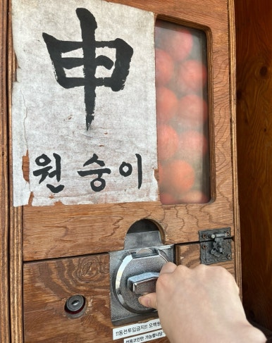 다인분식 이미지