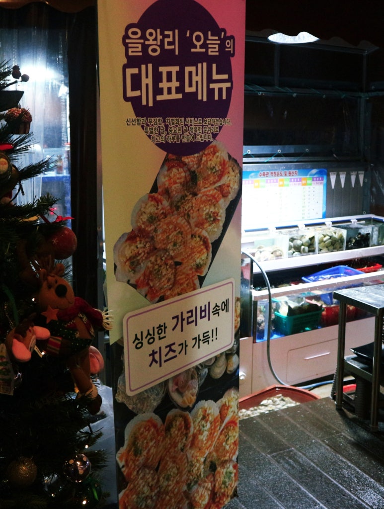 해품조개 이미지