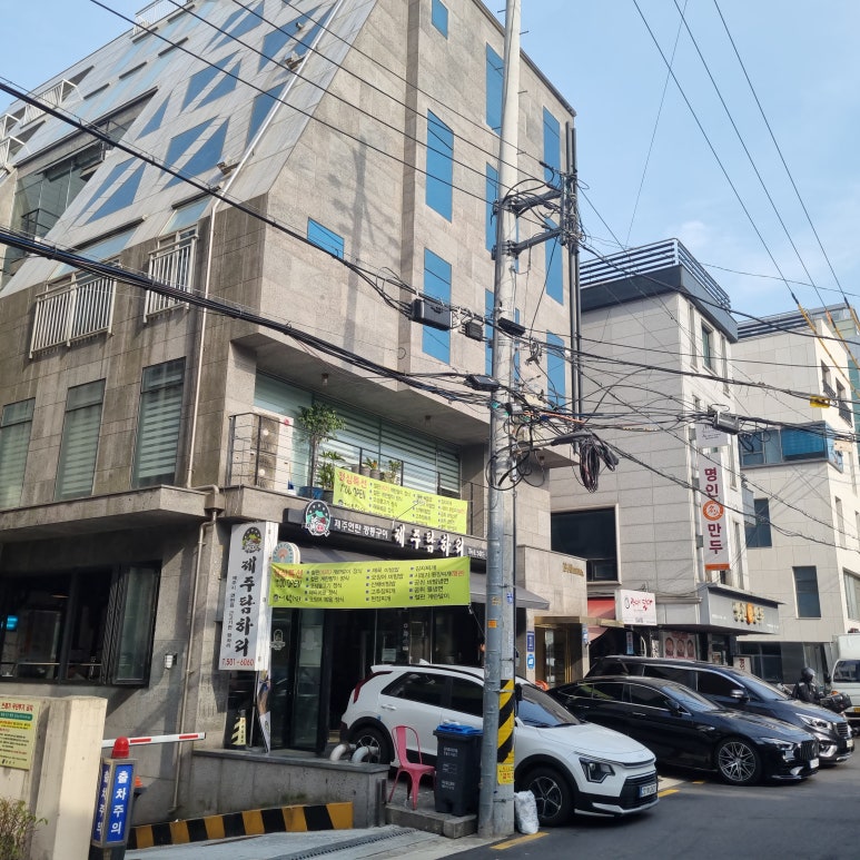 제주탐하리 이미지