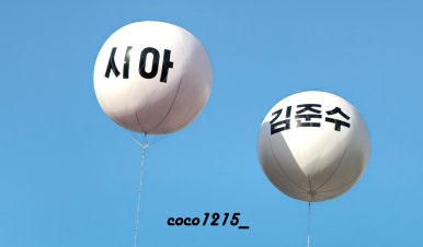 코코존 이미지