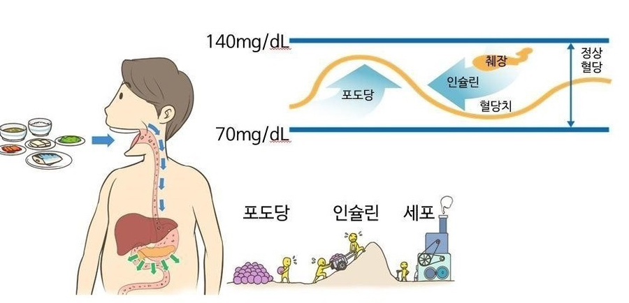 창원호 이미지