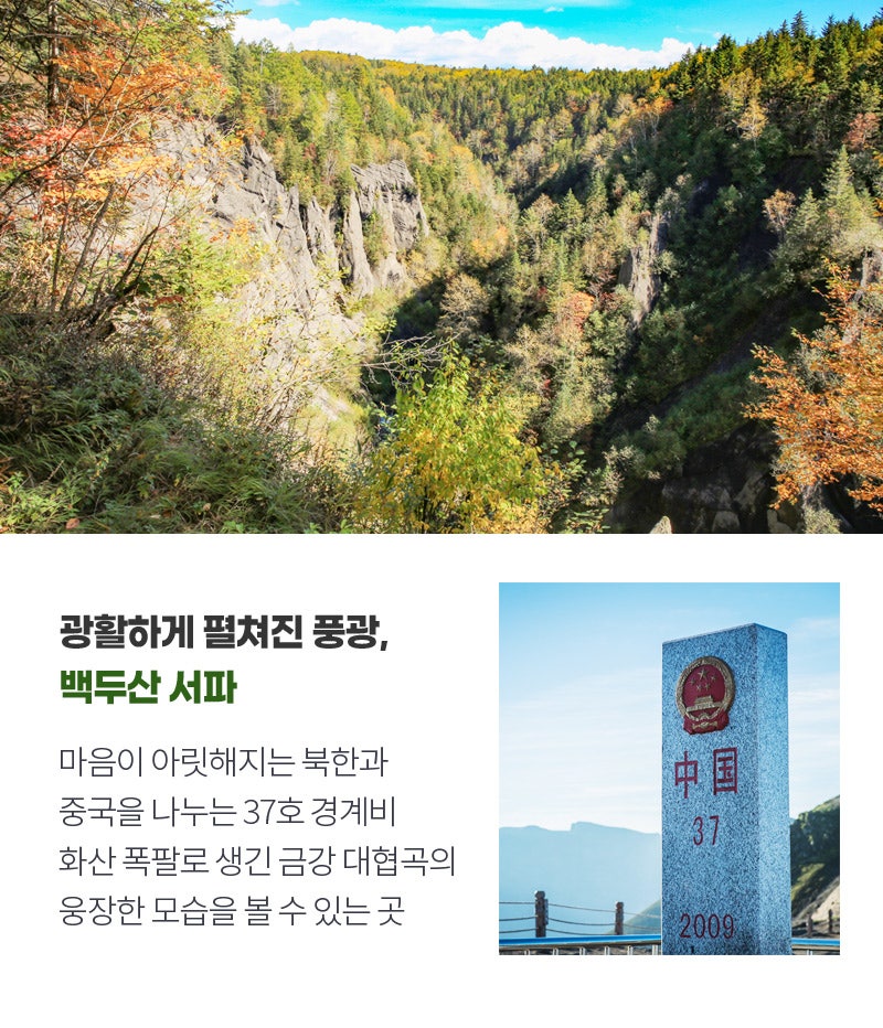 퓨어코스 이미지