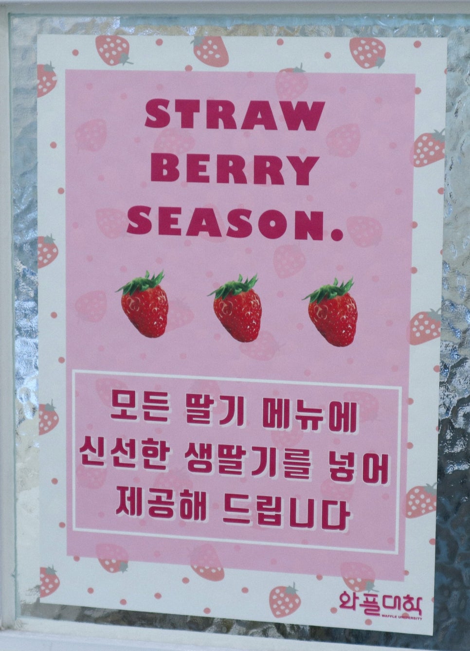 와플대학 대구성서캠퍼스 이미지