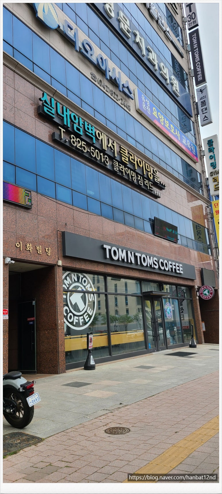 탐앤탐스대전 이미지