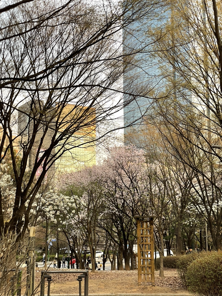본낭 이미지
