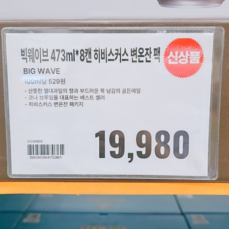 풍성란 이미지