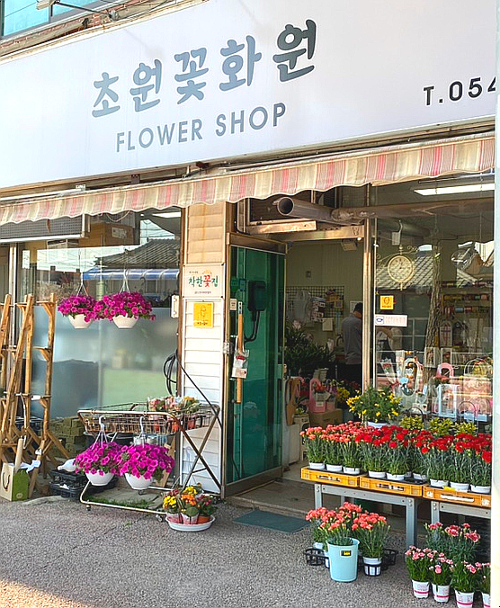 초원화원 이미지
