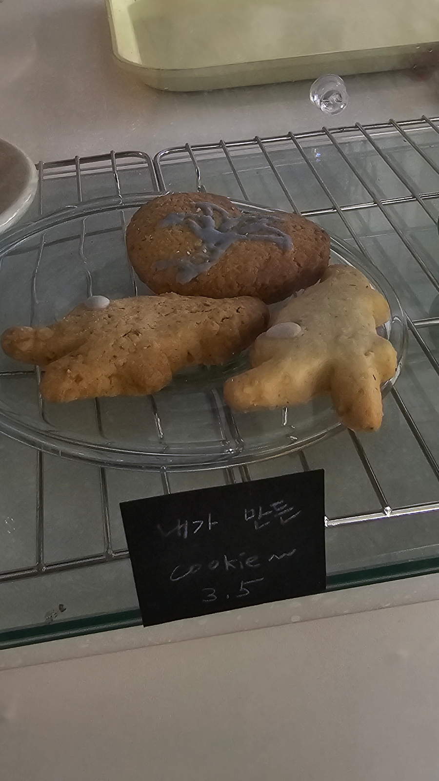 부쉬(bush) 이미지
