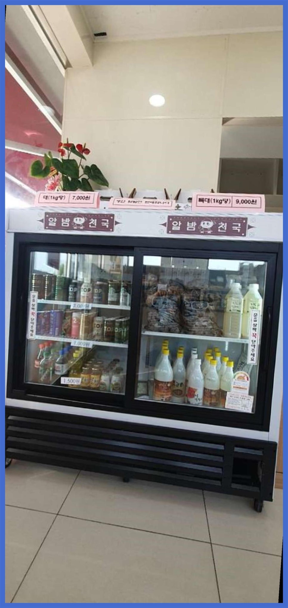 알밤천국 이미지