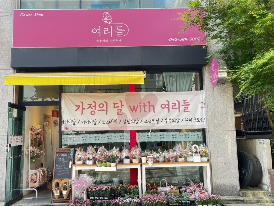 여리들 이미지