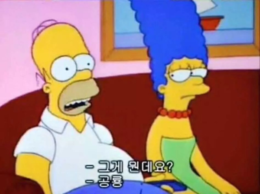 다로 이미지