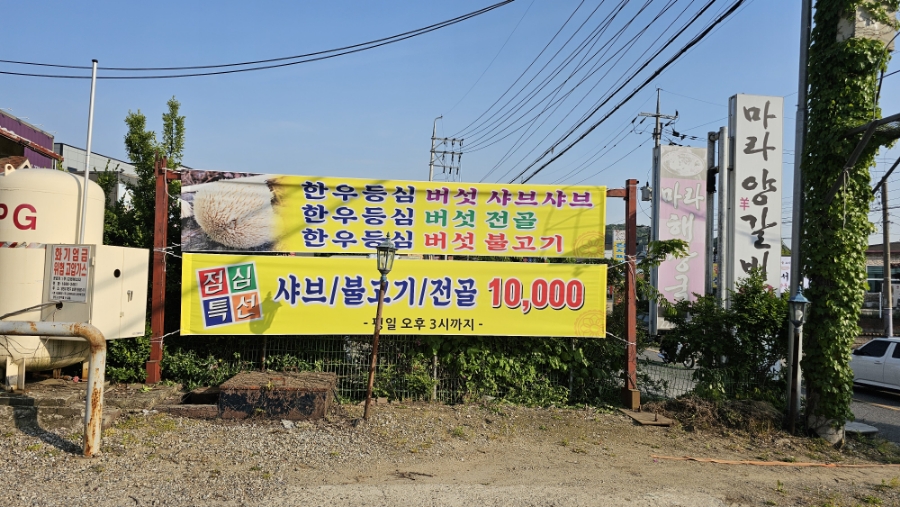 소랑버섯 이미지