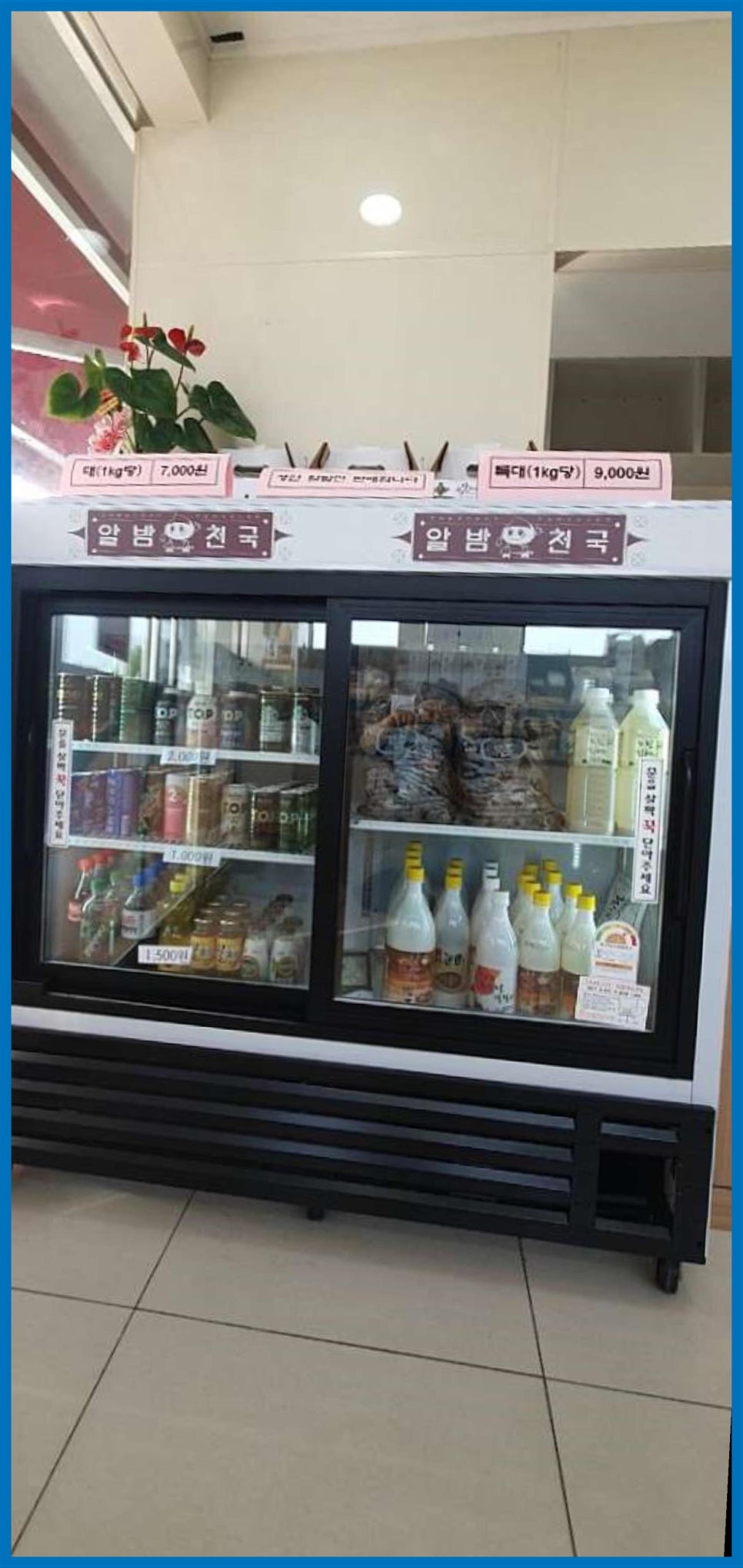 알밤천국 이미지