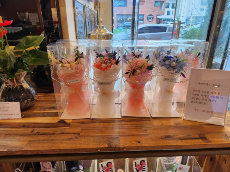 뜰애꽃 이미지