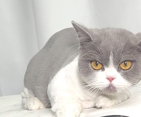 청라원 이미지