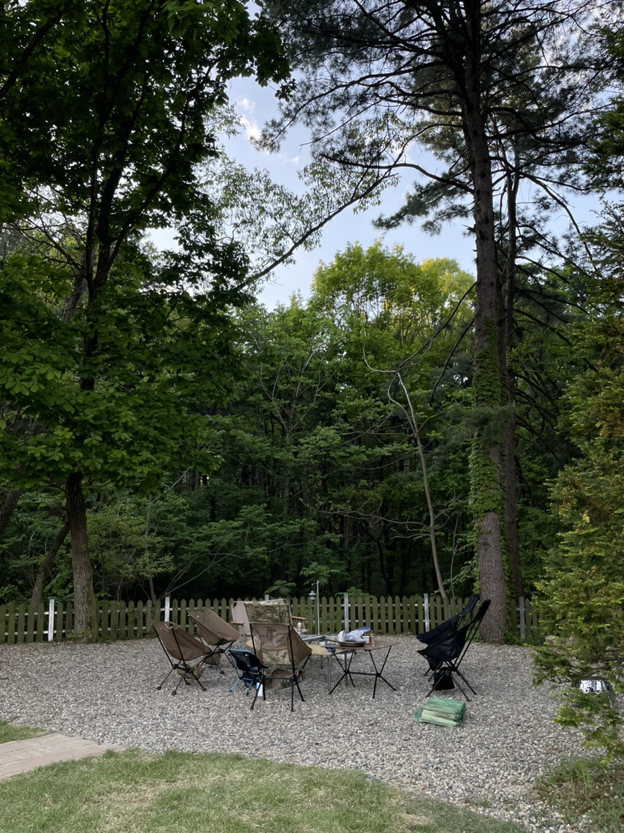 타이니포춘 이미지