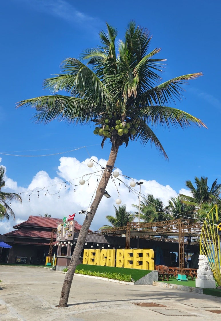 Beach Beer(비치비어) 이미지