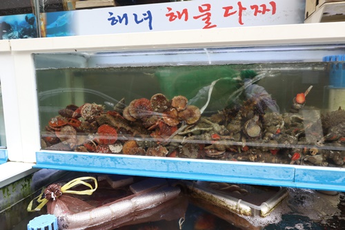 해녀해물횟집 이미지