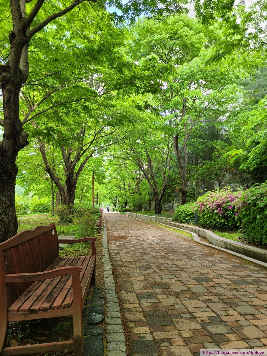 엠알힐링 이미지