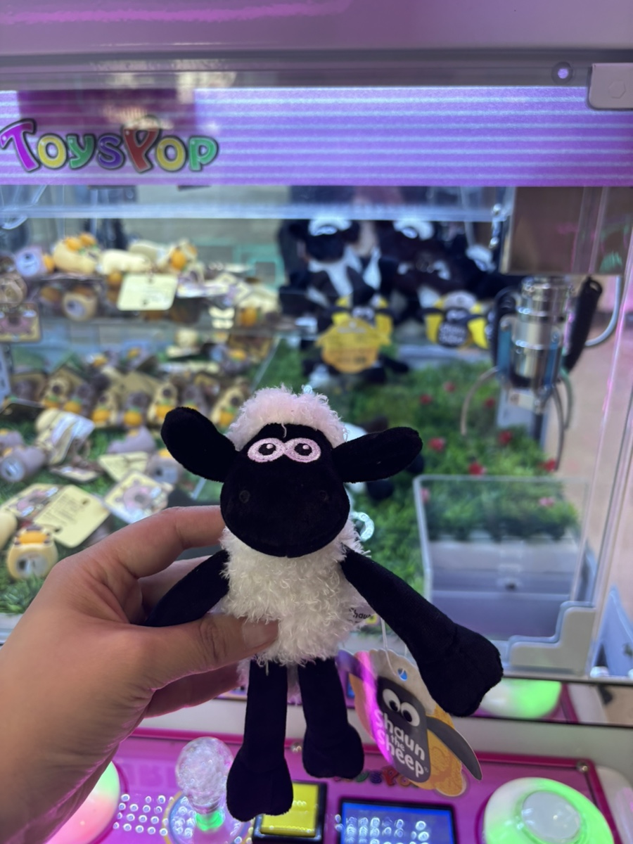 엑스탑오락실 이미지