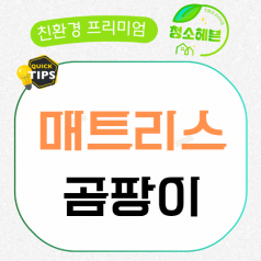 메인이미지1