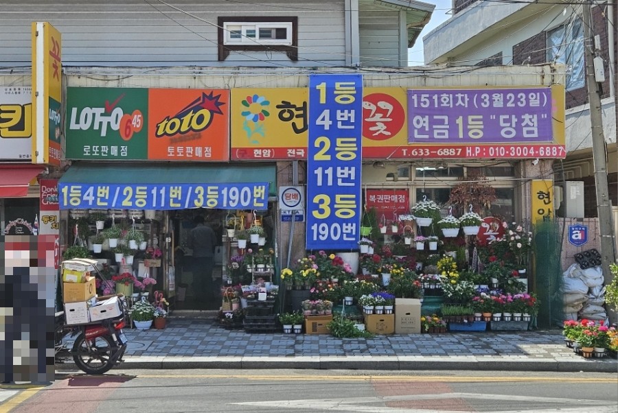 로또플라워 이미지