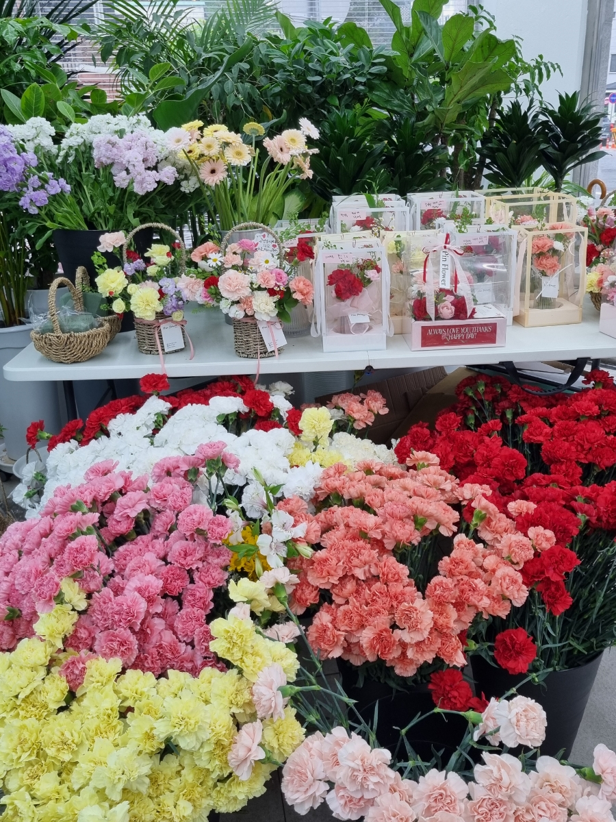 핀건축사사무소 이미지