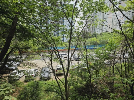 부춘산 유아숲체험원 이미지