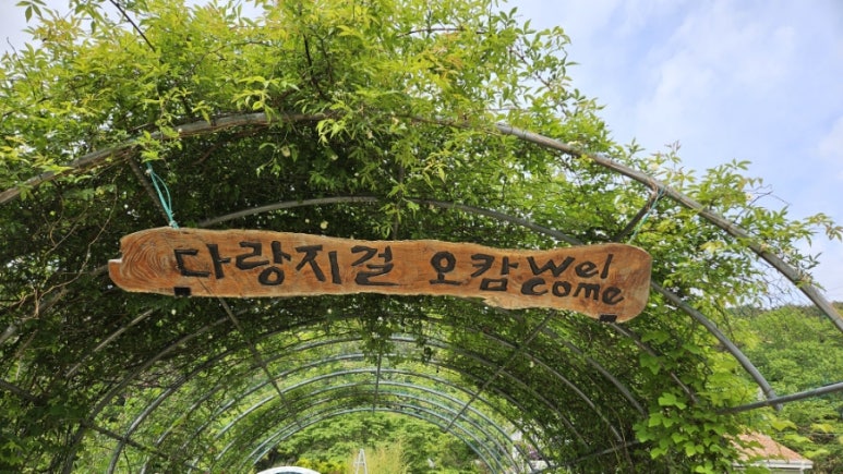 다랑지걸오캄 이미지