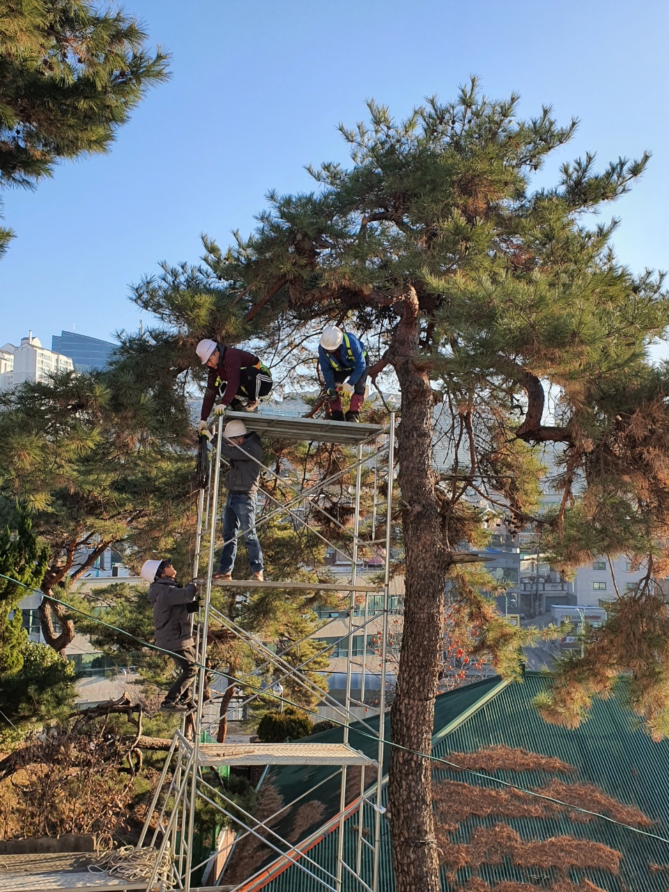 세진종합관리 이미지