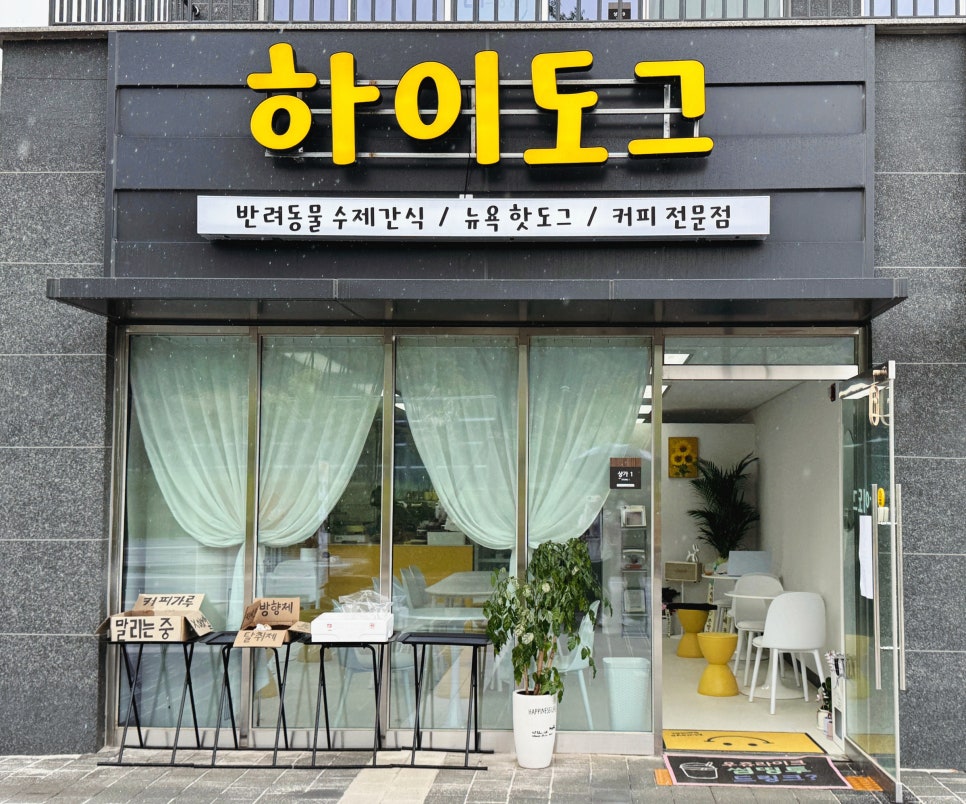 하이도그 이미지