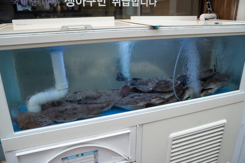정가네 찜하는포차 이미지
