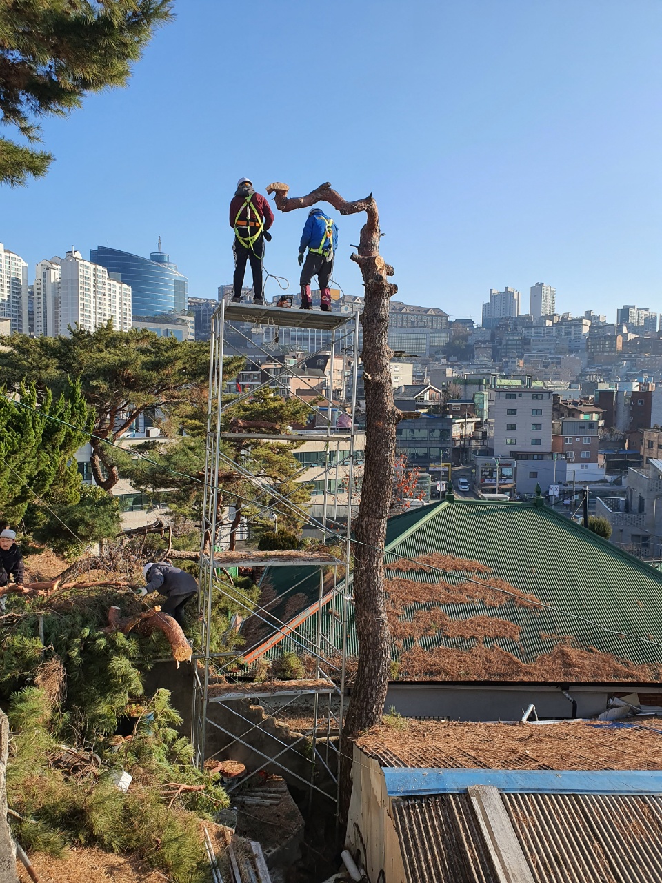 세진종합관리 이미지