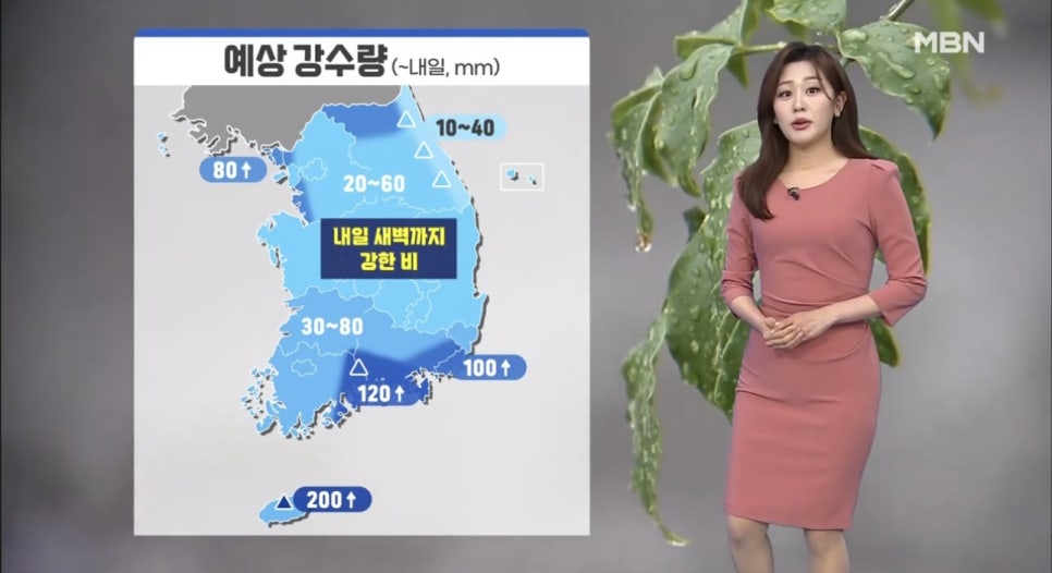 피자나라치킨공주반지점 이미지