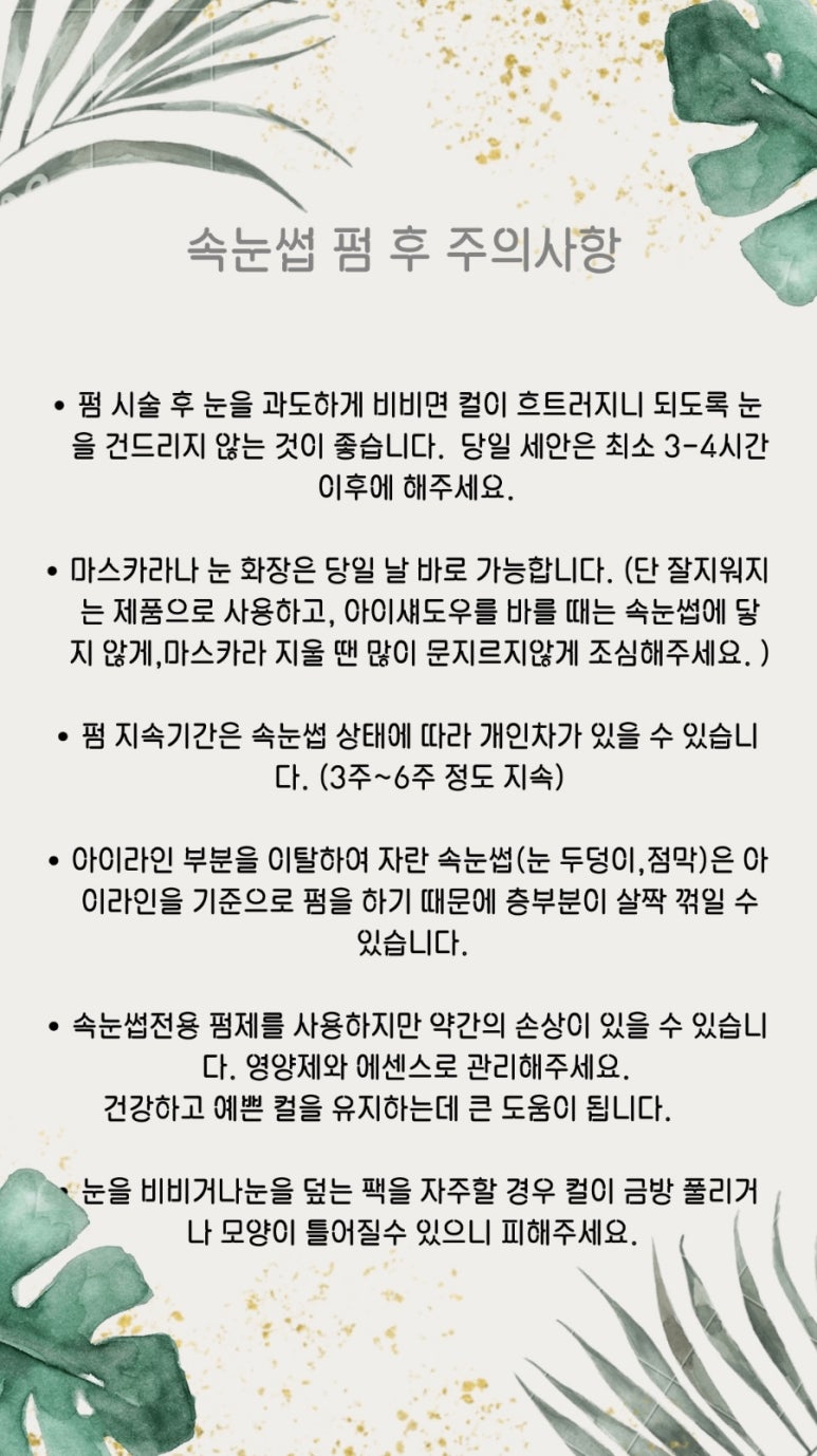 비비스튜디오 이미지