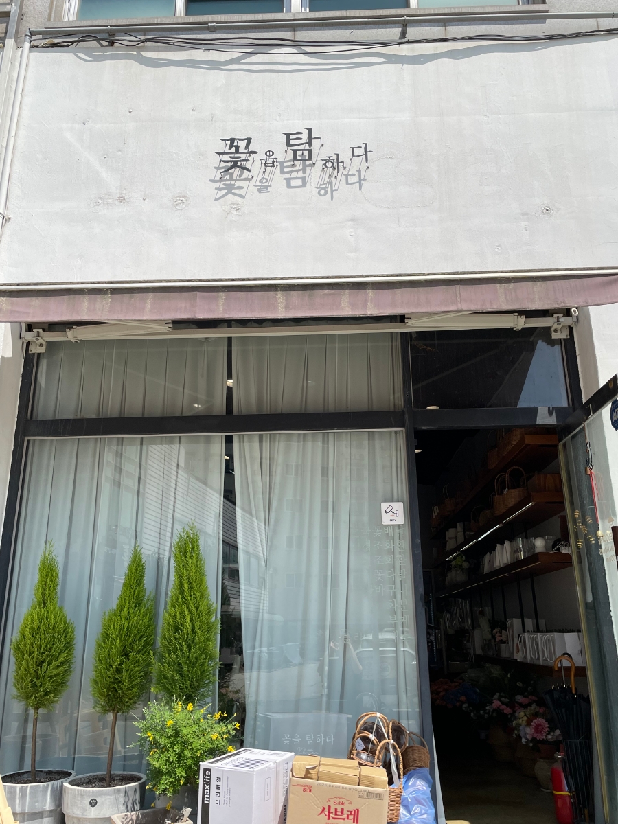 꽃을탐하다 이미지