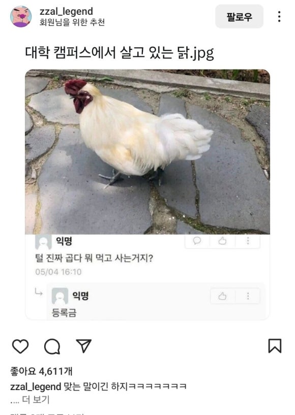 아구찜 참 잘하는 집 이미지