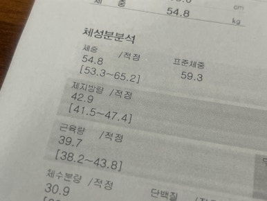 피그맘 이미지