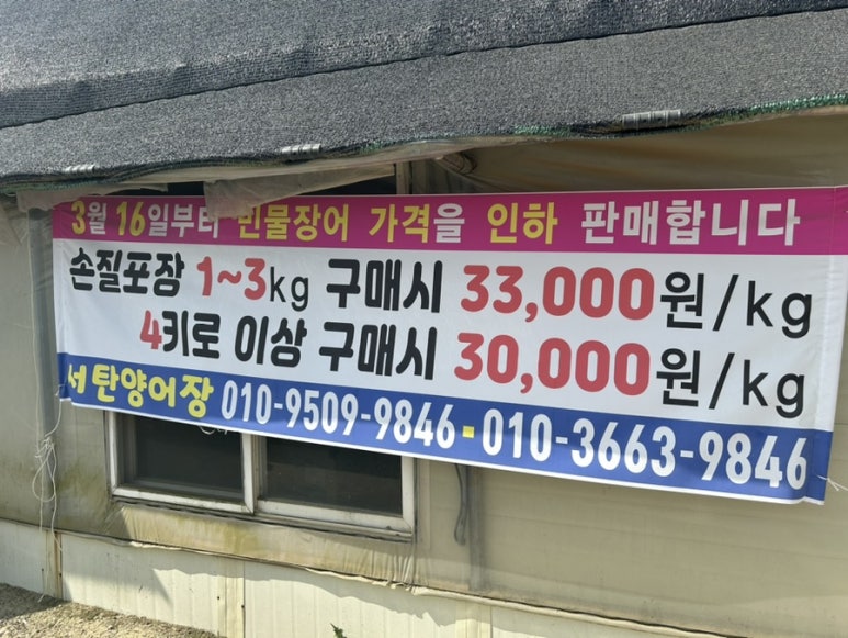 서탄민물장어 이미지