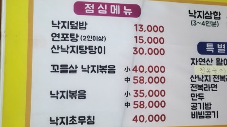 낙지야낙지야 이미지