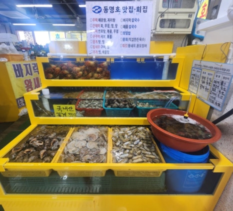 동명호 이미지