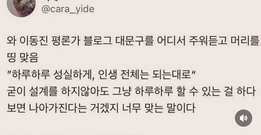 보은달 이미지