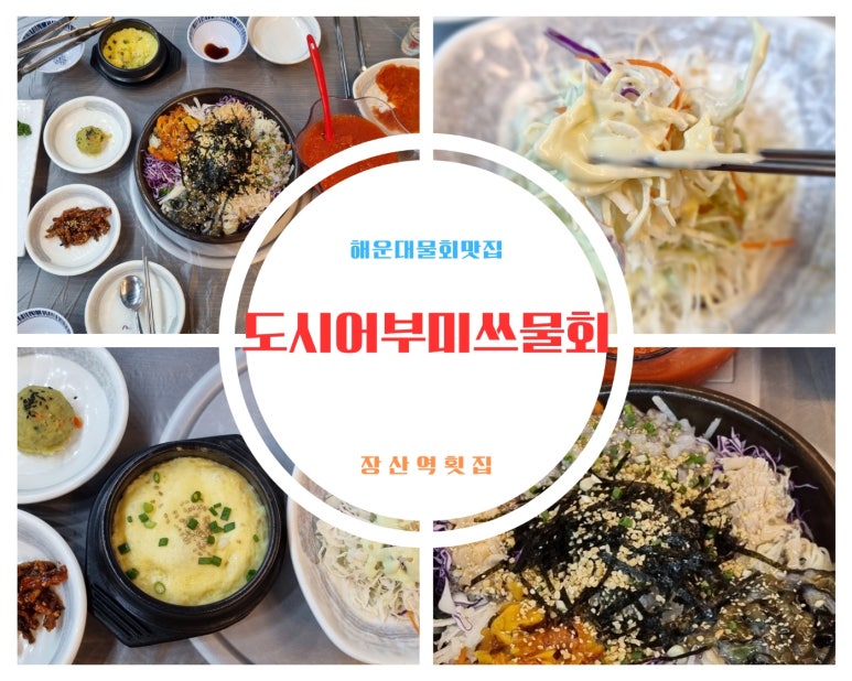 도시어부&미쓰물회 이미지