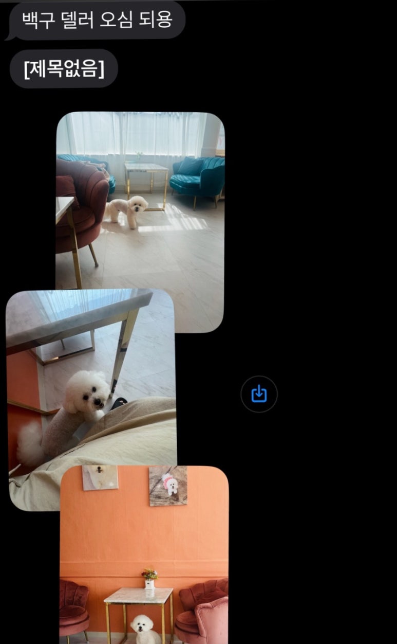 에바가위컷 전문점 이미지