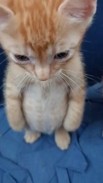 나! 박이야 이미지
