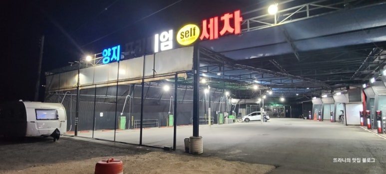 양지셀프 이미지