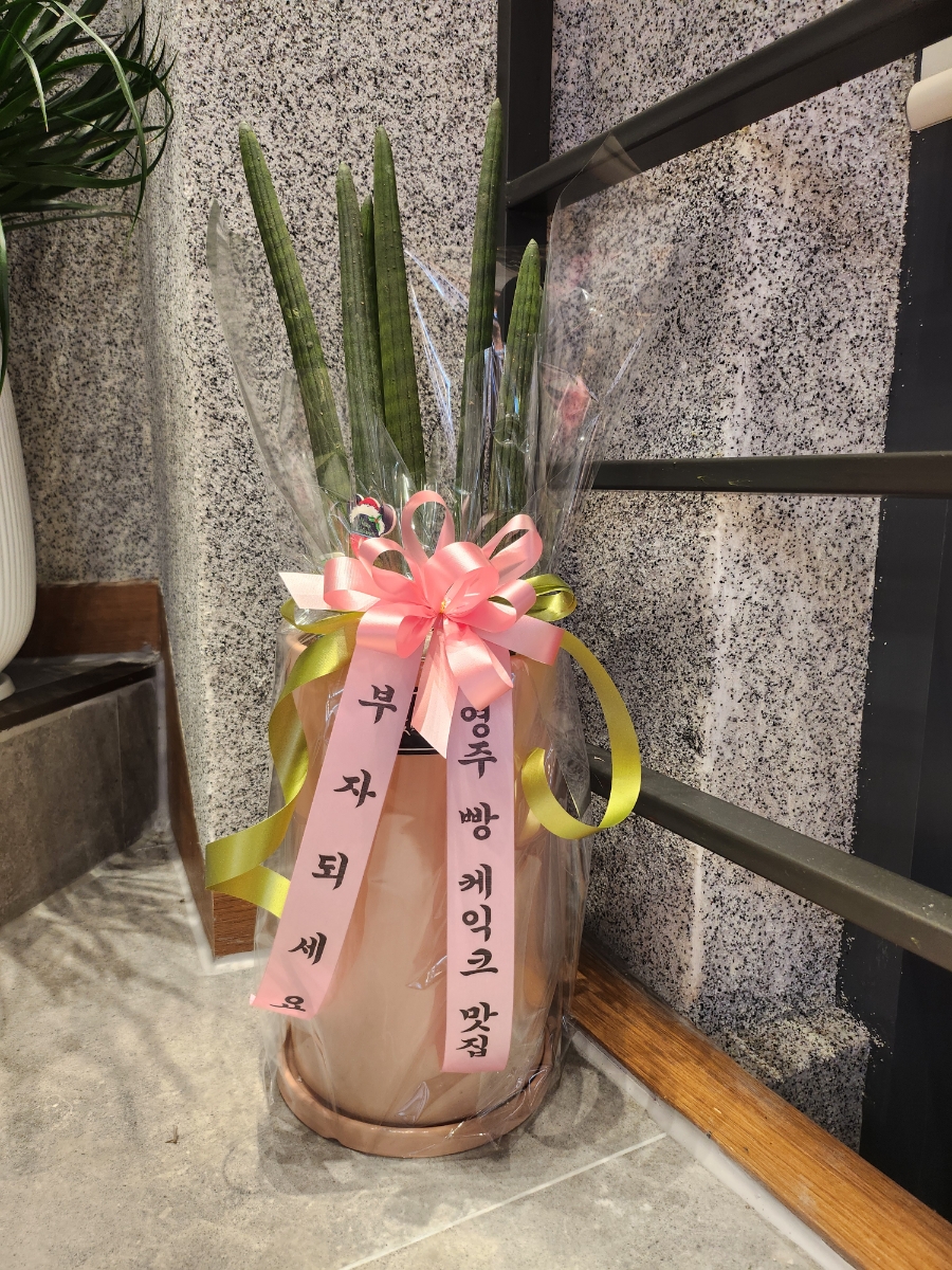뚜레쥬르영주 이미지