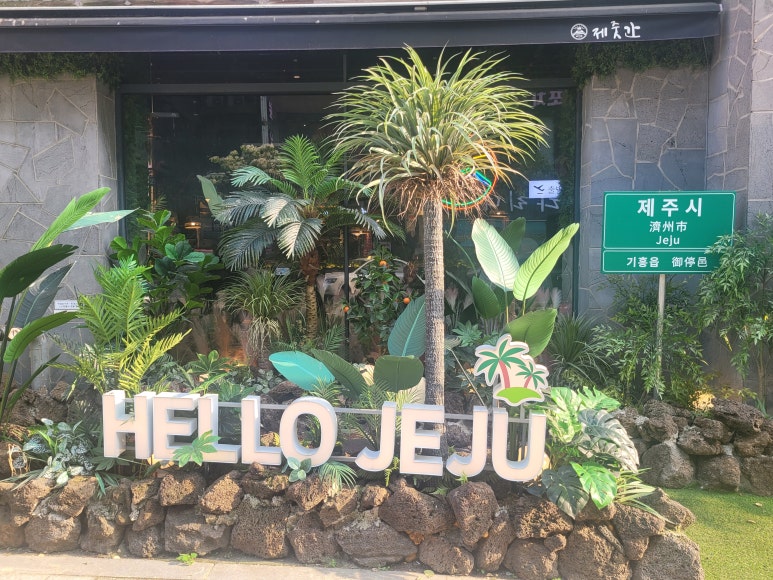 야자수 기흥구청 이미지