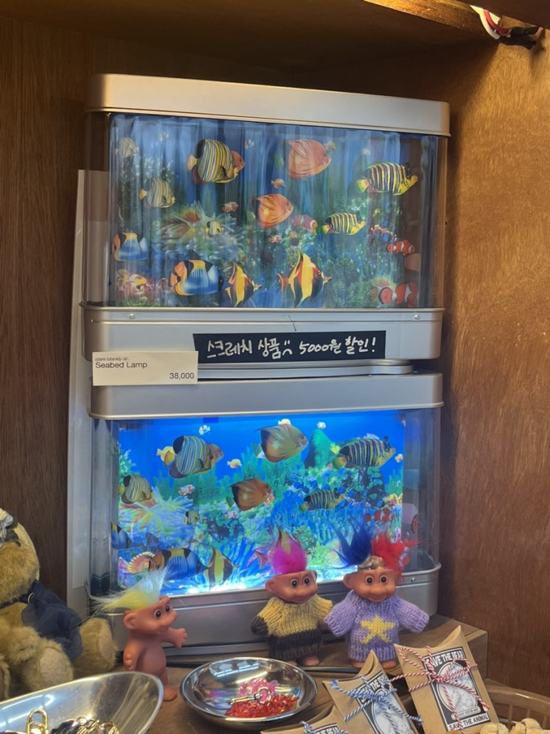홀리데이비지터 이미지